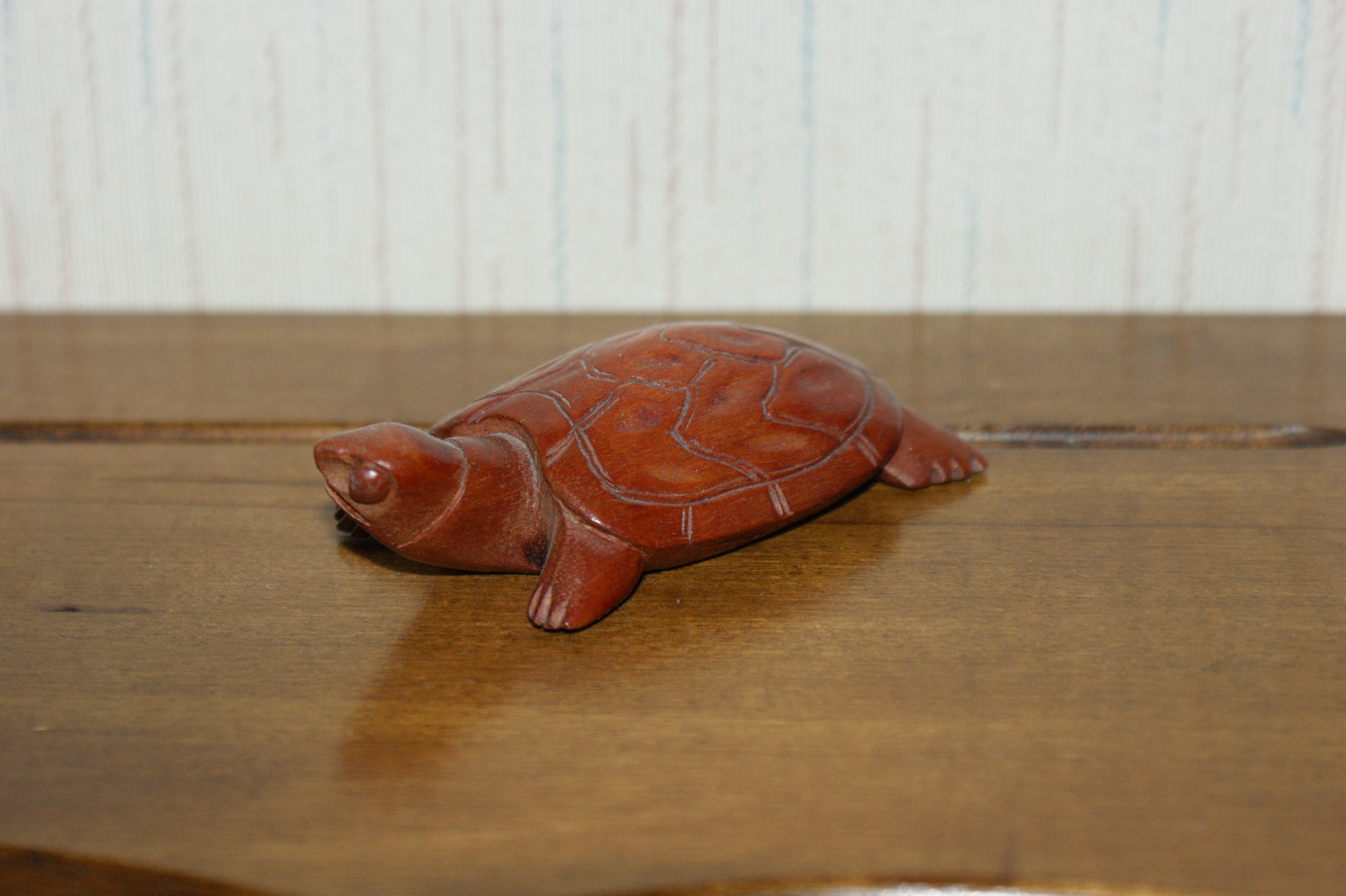 Wooden turtle (unknown wood)